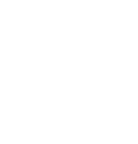 Altai Trails Logo